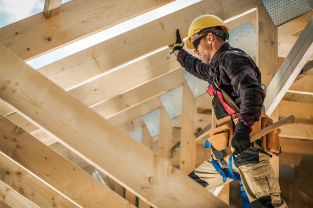 Best Roof Gutter Cleaning  in Moyock, NC
