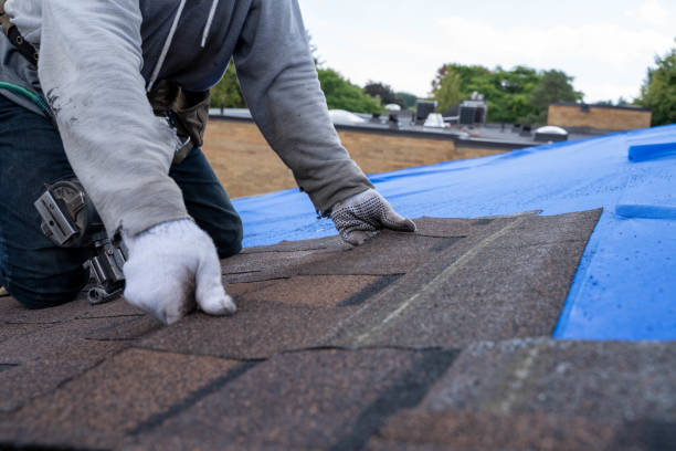 Best Shingle Roofing Installation  in Moyock, NC